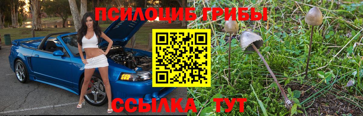 Галлюциногенные грибы Cubensis  Галлюциногенные грибы мухоморы  Вход с VPN  Воткинск 